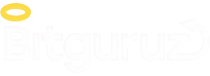 bitguruz-logo